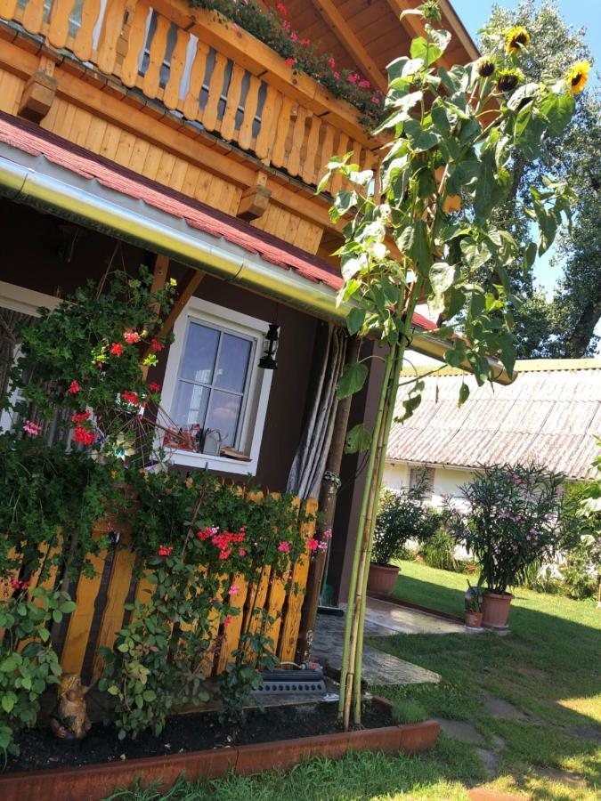 Hero 4 Sterne Ferienhaus Baja Eksteriør bilde